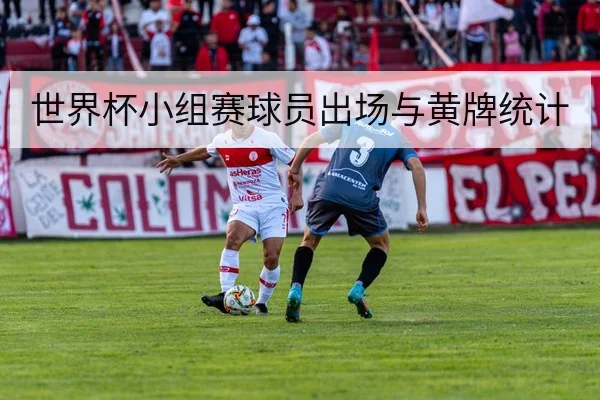 世界杯小组赛球员出场与黄牌统计